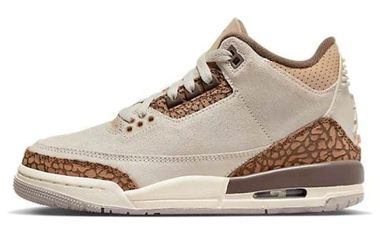 Air Jordan 3 Retro